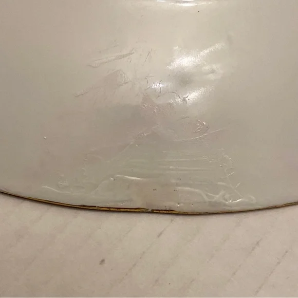 Vohenstrauss Johann Seltmann Bavaria Hand Painted Plate W/Pink White Roses Motif - Picture 3 of 4